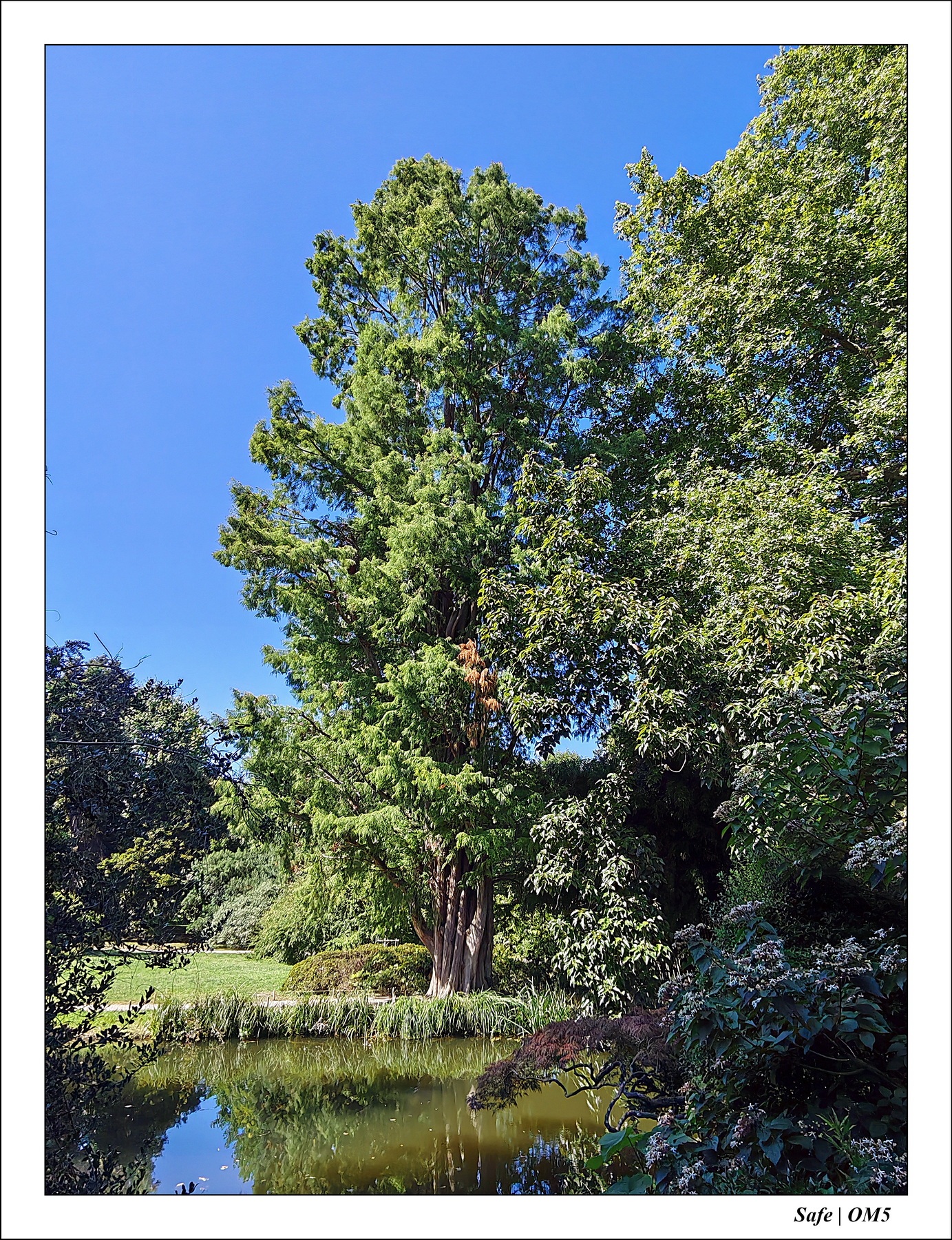 2025 - 08 - Vallée des loups - 33